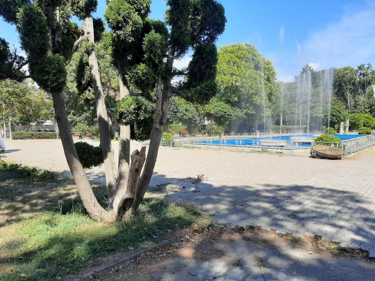 Vila Vanessimo Eforie Sud  Exteriér fotografie